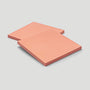 10x10 Salmon